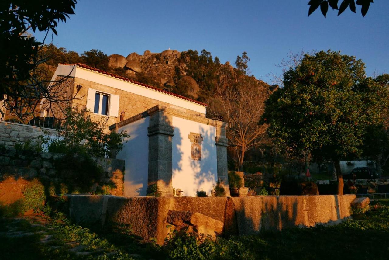 Quinta De Sao Pedro De Vir-A-Corca Em Monsanto住宿加早餐旅馆 外观 照片