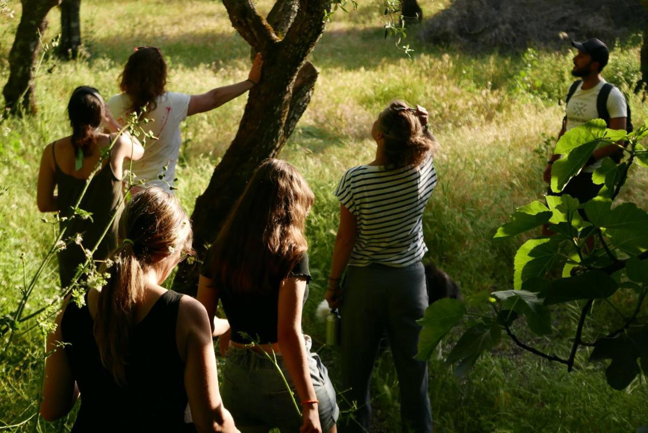 Quinta De Sao Pedro De Vir-A-Corca Em Monsanto住宿加早餐旅馆 外观 照片