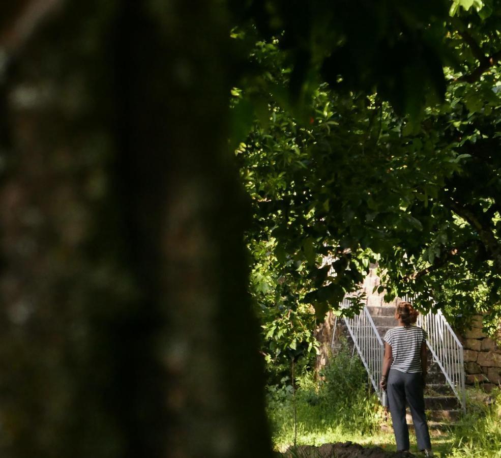 Quinta De Sao Pedro De Vir-A-Corca Em Monsanto住宿加早餐旅馆 外观 照片