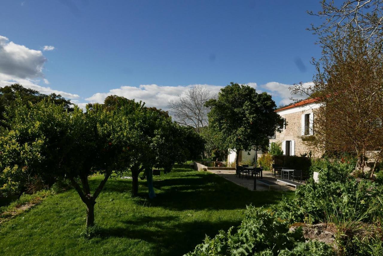 Quinta De Sao Pedro De Vir-A-Corca Em Monsanto住宿加早餐旅馆 外观 照片