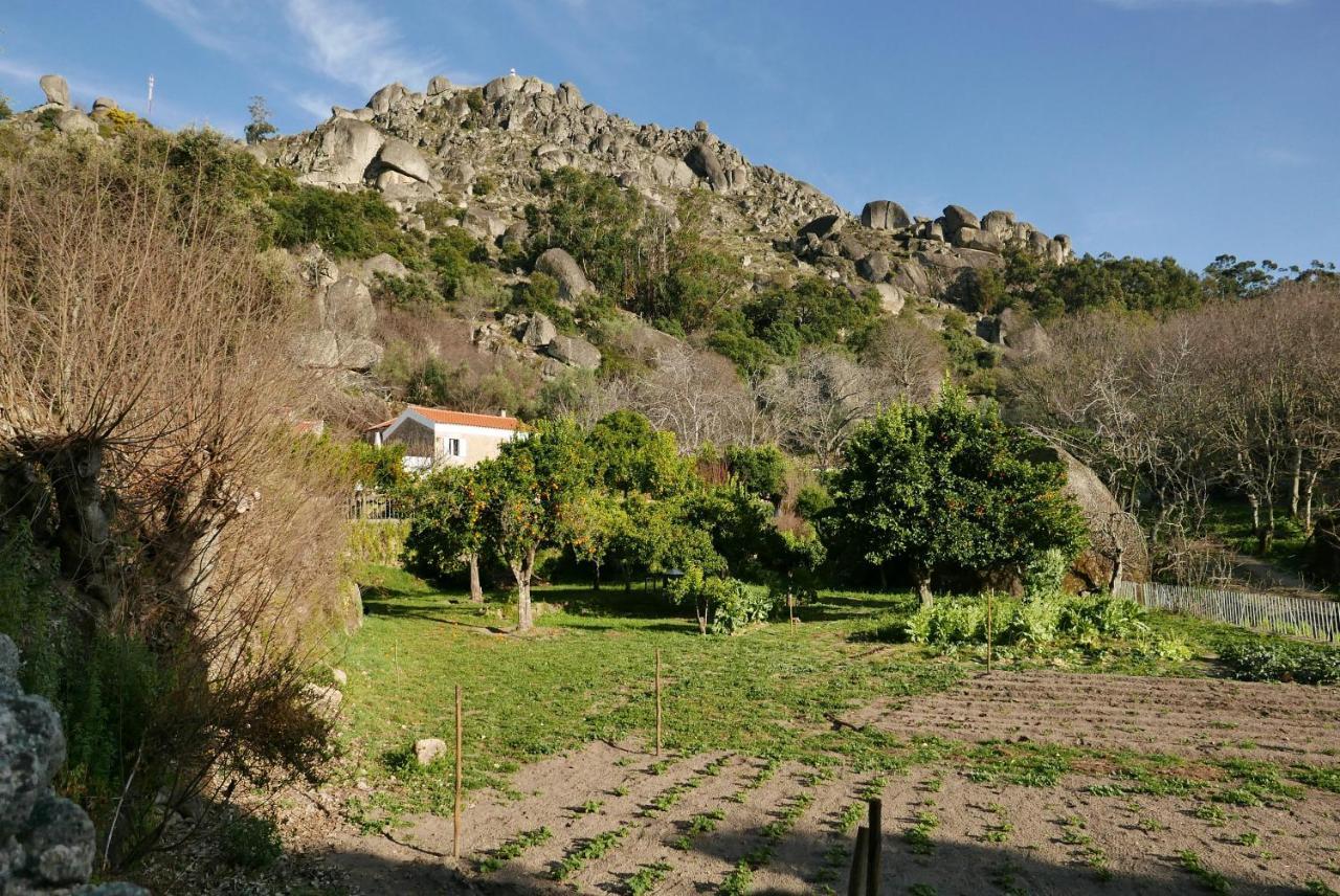 Quinta De Sao Pedro De Vir-A-Corca Em Monsanto住宿加早餐旅馆 外观 照片