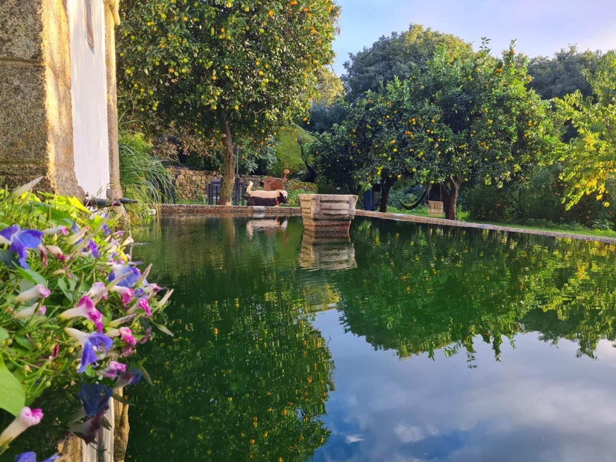 Quinta De Sao Pedro De Vir-A-Corca Em Monsanto住宿加早餐旅馆 外观 照片