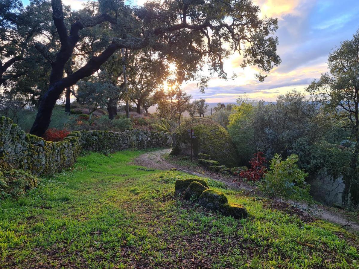 Quinta De Sao Pedro De Vir-A-Corca Em Monsanto住宿加早餐旅馆 外观 照片