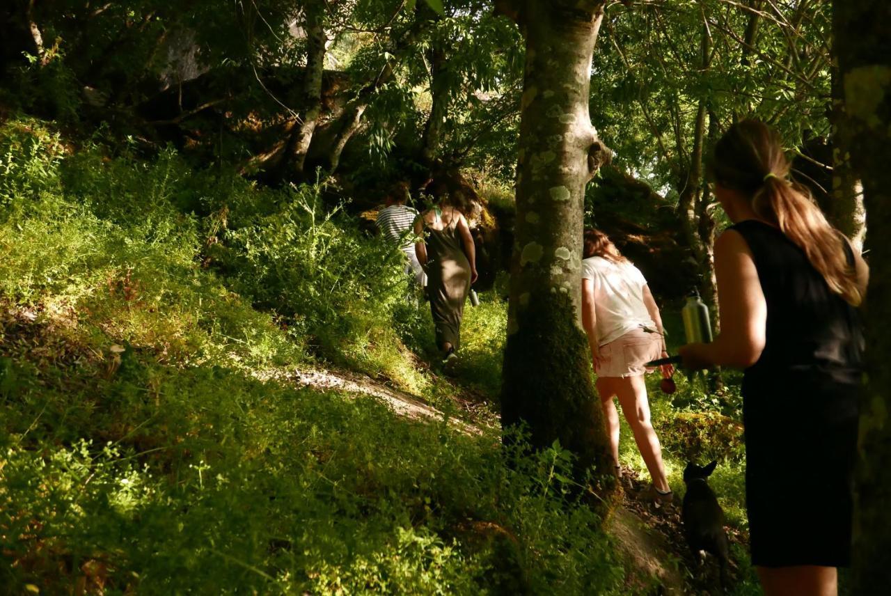 Quinta De Sao Pedro De Vir-A-Corca Em Monsanto住宿加早餐旅馆 外观 照片
